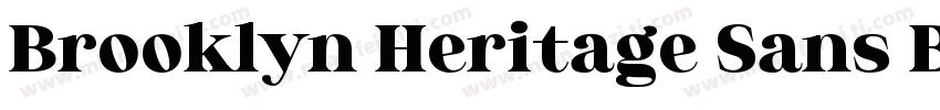 Brooklyn Heritage Sans Black字体转换